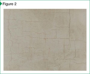 Pervasive failure observed in the form of shrinkage cracking due to rapid moisture loss following installation.