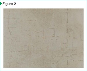 Pervasive failure observed in the form of shrinkage cracking due to rapid moisture loss following installation. 