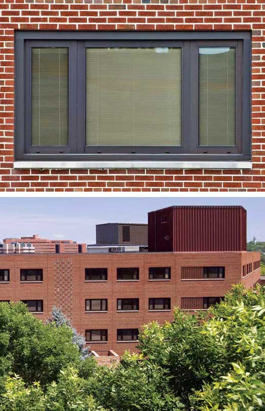 Minnesota’s Fairview Behavioral Services facility required glazing that was strong and safe enough to avoid being used as a weapon or a means of egress.