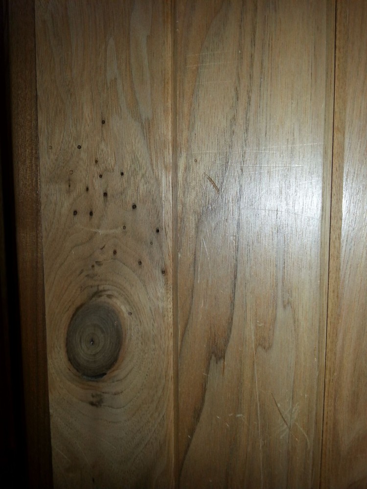 Urban butternut (left) and urban red maple (right) sample panels.