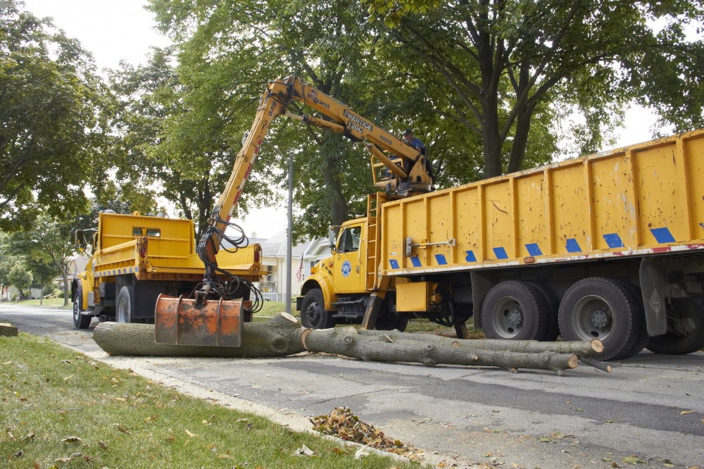 City of Milwaukee workers loading a downed urban ash tree. Photo courtesy M Magazine