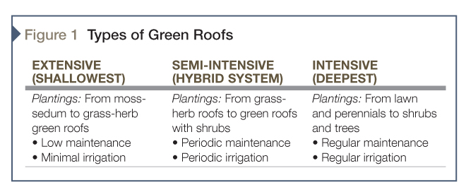 The three types of vegetated roofs, as per FLL.