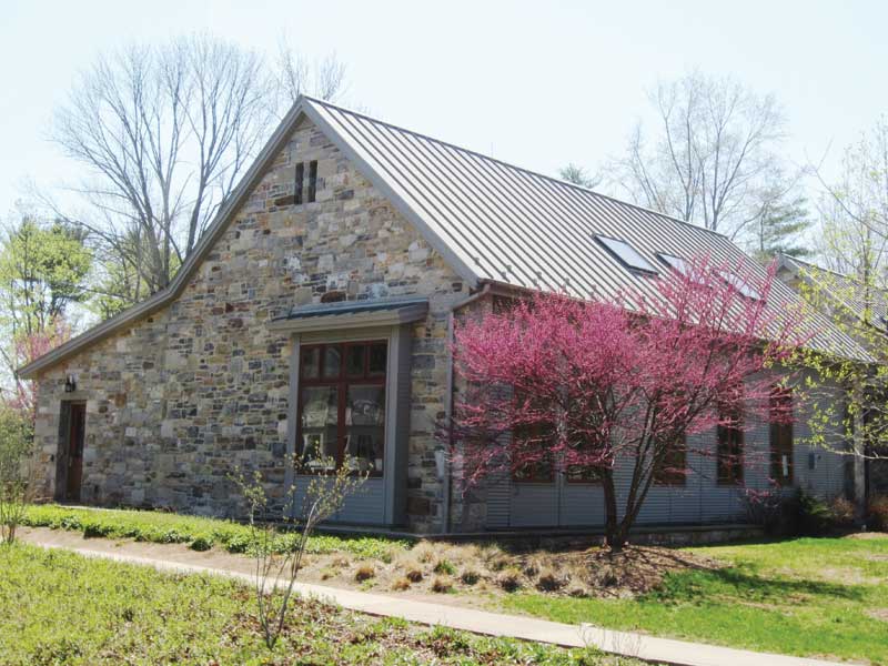 willow-school-1