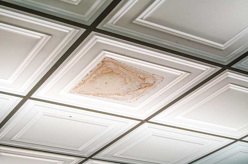 ceiling_dsc_0075
