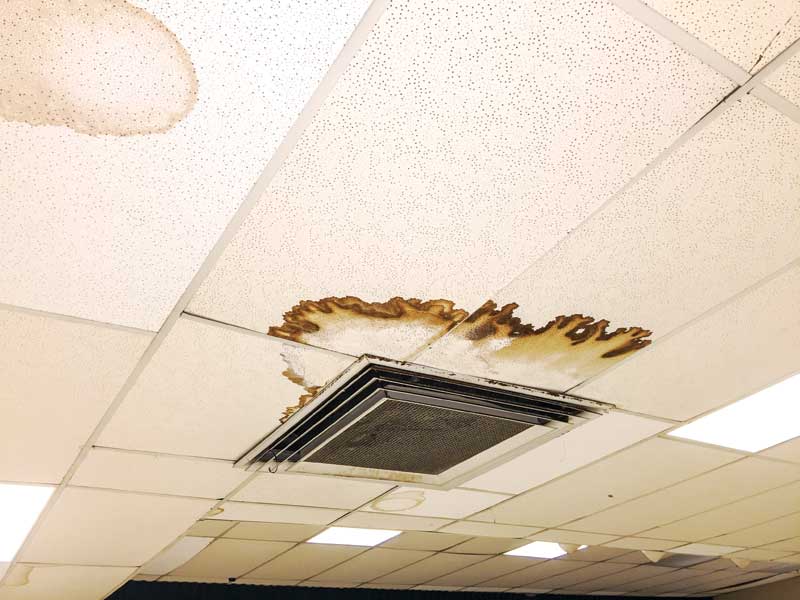 ceilings_img_1551