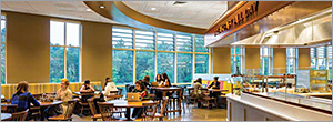 Ceiling systems: Overhead investments Ceiling systems: Overhead investments
