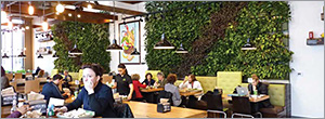 Critical success factors for indoor green walls Critical success factors for indoor green walls