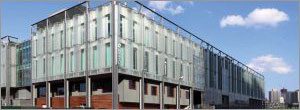 Avian-friendly glass: A clear and present solution for birds Avian-friendly glass: A clear and present solution for birds