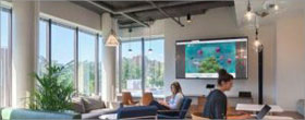 Dyer Brown designs nature-inspired offices for Massachusetts company