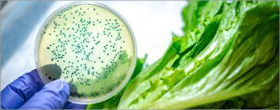 Researchers develop treatment to prevent bacterial spread on metal surfaces