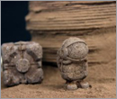 Building on Mars? Chitin may help