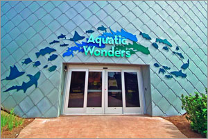 Mississippi aquarium features distinctive and sustainable zinc-clad buildings