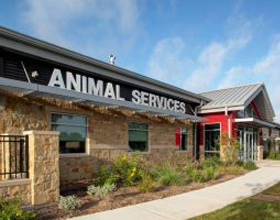 Acoustic panels reduce excessive barking noise in dog shelters, keeping animals calmer