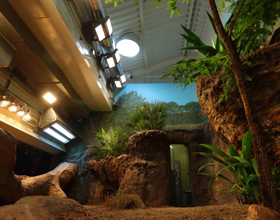 Seattle zoo’s enclosure lights create ideal Komodo habitat