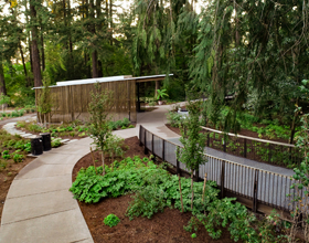 Botanical garden aims to become ecological, cultural attraction in Portland 