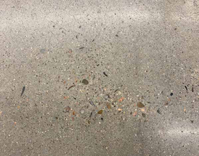 Analyzing bacterial growth on vinyl and polished concrete