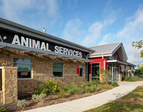 Acoustic panels reduce excessive barking noise in dog shelters, keeping animals calmer