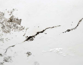 Building science: The process of mitigating mold and moisture