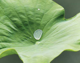 Hydrophobic coatings unlock protection against water intrusion