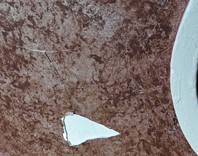 Preserving historic ornamental plaster ceilings