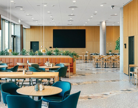 Why stone wool delivers high-performance acoustics