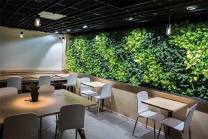 This living wall in a Portland cafe features alternating bands of dark and light green colors and makes the space feel more expansive, welcoming, and relaxing. Photo courtesy LiveWall and Acheff Images