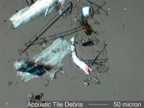 Figure 8: This photomicrograph was collected in a classroom where the teacher was complaining of upper respiratory system issues.
It shows particles collected from surfaces beneath a mineral fiber ceiling. The ceiling contained glass and paper fibers, epoxy binder, and a calcite mineral filler. Fiber exposure and health complaints dropped significantly after ceiling was replaced. Photo courtesy Russ Crutcher, Microlab Northwest