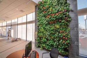 Natural light is abundant at the Subaru Pacific dealership in Hawthorne, California. The 4-m (14-ft) high and 2-m (8-ft) wide green wall adds beauty and color to the showroom. Photo courtesy LiveWall and Florasource