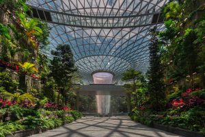 tallest waterfall singapore airport indoor features jewel changi highlighted open