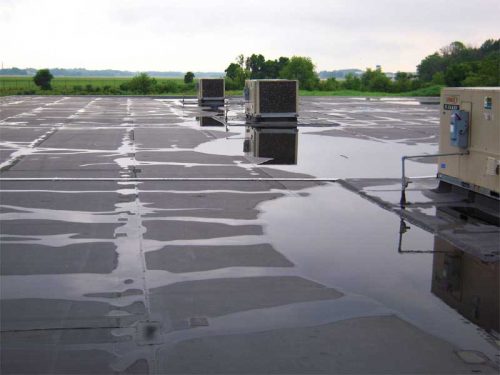 Figure 5: Pull-back view of water trapped between RTUs looking east. Note the lack of a roof drain and/or a well-defined waterway. Ponded water can also be observed in the background.