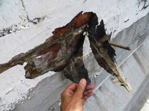 Moisture staining is evident on the brick exposed to coating failure. Photo courtesy WJE