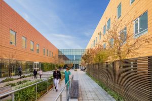 The U.S. Department of Veterans Affairs Palo Alto (VAPA) Polytrauma and Blind Rehabilitation Center in Palo Alto, California, wins the 2019 Healthcare Design Award from the American Institute of Architects (AIA) Academy of Architecture for Health (AAH). Photo © Tim Griffith and Kyle Jeffers