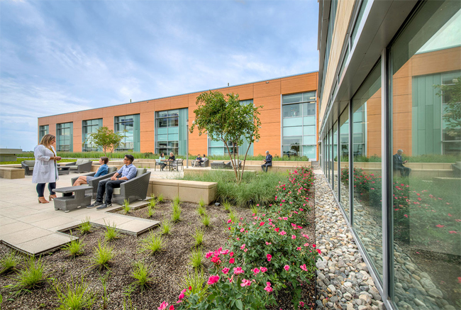 Maryland Hospital Uses Biophilia To Create Human Centric