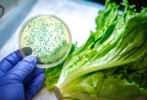 Researchers at Purdue University, Indiana, have developed technology to create a hard metal surface that kills bacteria that try to attach to the surface. Photo courtesy Purdue University