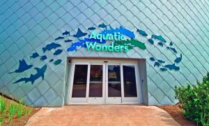 Mississippi Aquarium, Gulfport, Mississippi, features distinctive, resilient, and sustainable zinc-clad buildings. Photo © Mississippi Aquarium, photo courtesy RHEINZINK