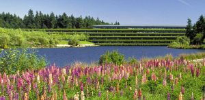 Landscape architects, architects, scholars, and others speak out about the threat to the Weyerhaeuser Corporate Headquarters in Washington. Photo courtesy The Cultural Landscape Foundation