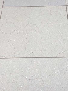 Figure 5: Spot bonding and the resultant mortar shrinkage created indent cracks in this tile. The ‘spot’ locations are mapped by the tile cracks. Photo © Mike Mundie, Custom Building Products