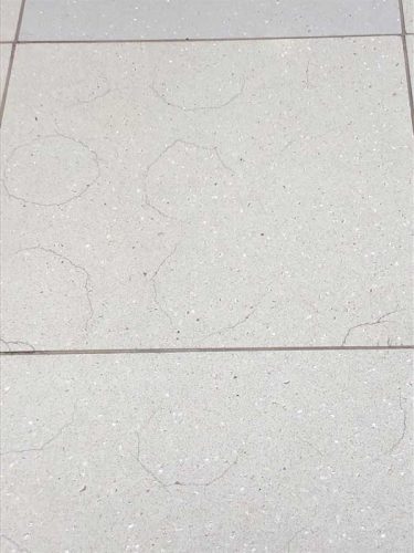 Figure 5: Spot bonding and the resultant mortar shrinkage created indent cracks in this tile. The ‘spot’ locations are mapped by the tile cracks. Photo © Mike Mundie, Custom Building Products