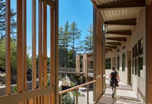 The elevated covered “Canopy Walk.”