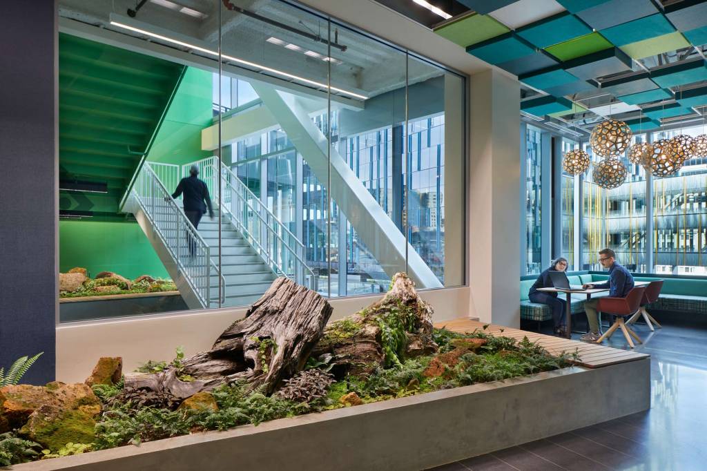Biophilic elements within the interior.