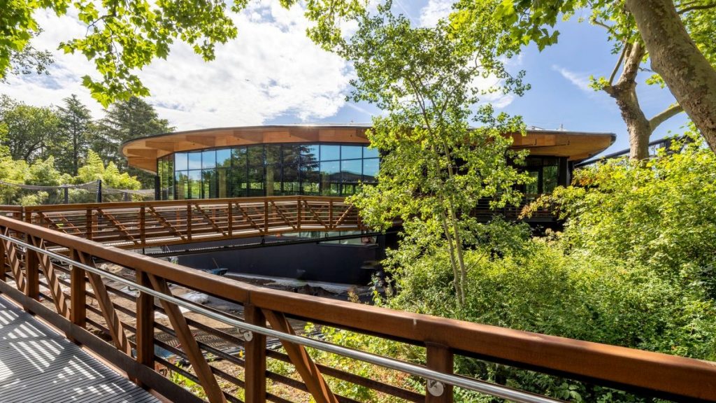 A modern, circular building with large glass walls surrounded by lush greenery, viewed from an elevated wooden walkway.
