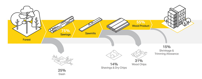 Flowchart showing the timber processing journey: from forest to sawlogs, sawmills, and product yield percentages, including waste materials.
