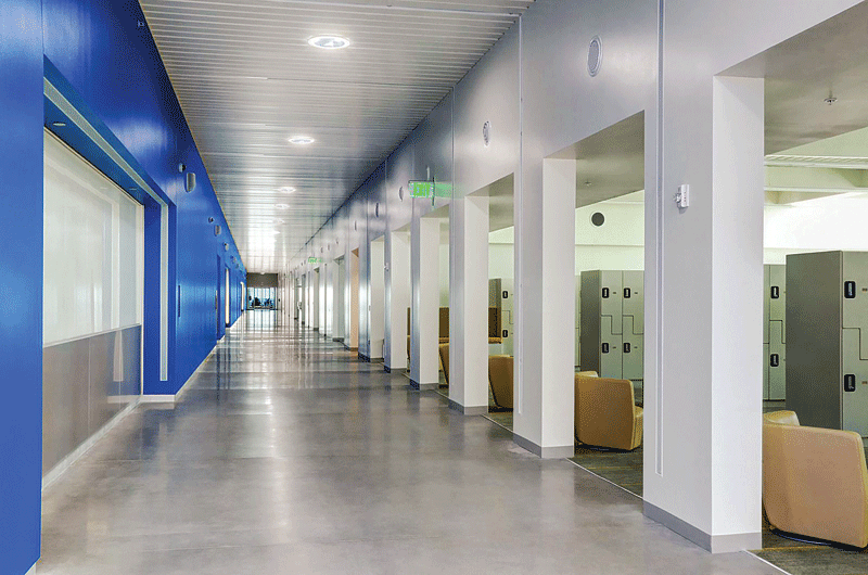 Wide, modern hallway with a shiny floor, vibrant blue feature wall, and evenly spaced white columns. Brown seating and lockers line the right side.