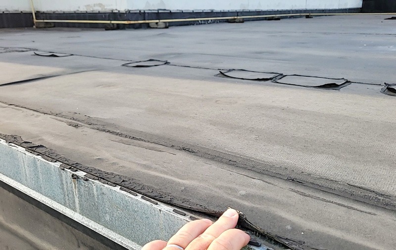Hand lifting a loose seam in a gray flat-roof membrane, with additional raised and damaged sections visible across the roof.