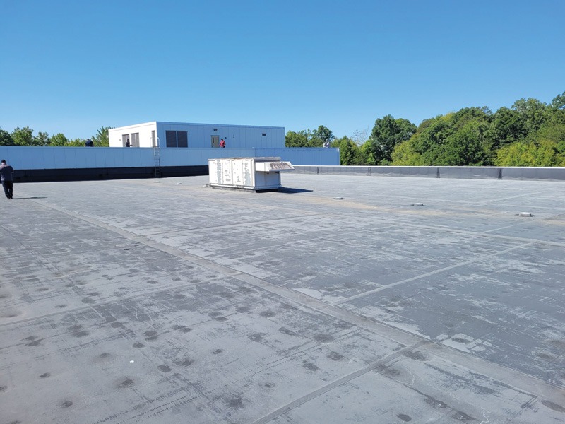Wide view of a weathered flat rooftop with a small utility structure, larger rooftop building, trees, and a clear blue sky.